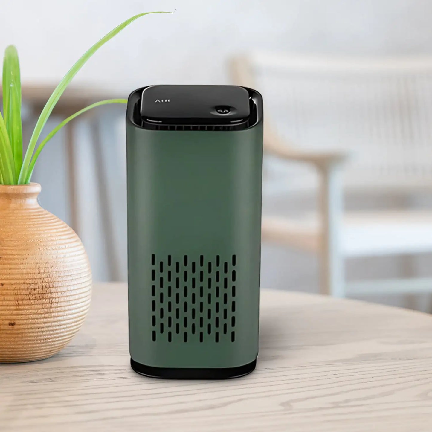 Steam Homes Air purifier