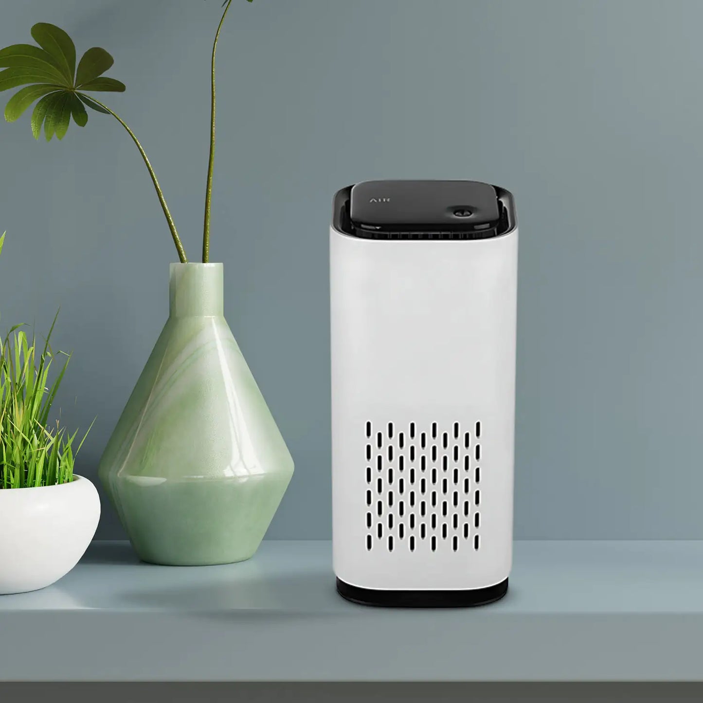 Steam Homes Air purifier