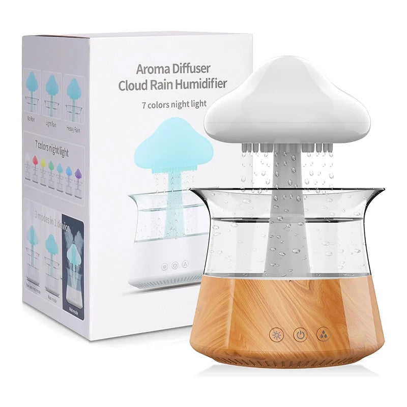 Steam Homes Rain Cloud Air Humidifier